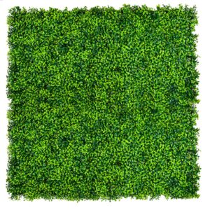 Mixed Boxwood Hedge Panels Vertical Garden Green Wall